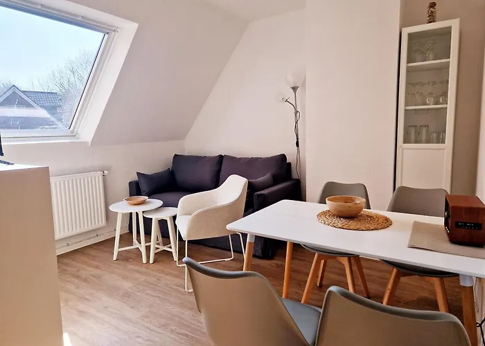 Haus Seeigel Strandflieder Norderney